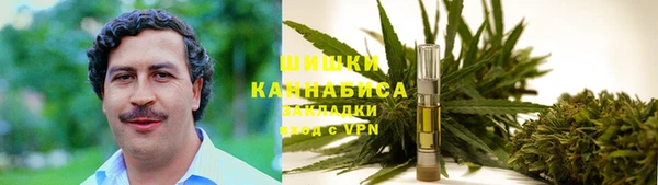 твердый Осташков